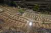 dsc_0291_small.jpg