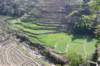 dsc_0292_small.jpg