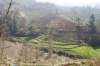 dsc_0293_small.jpg