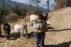 dsc_0310_small.jpg