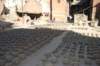 dsc_0344_small.jpg