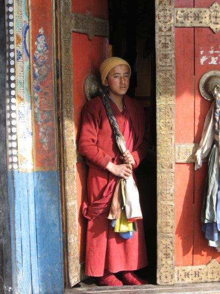 Petit lama