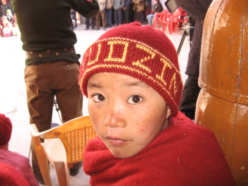 petitlama2.jpg