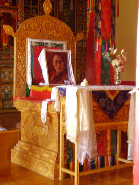 unephotodudalalamapoursesouvenirdesonpassage.jpg