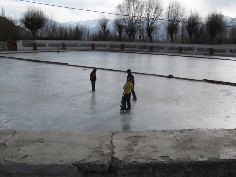 unpatinoirepourtantilnyaeaupasdeaucourantenigotdurantlhiver.jpg