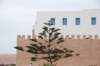 arbre_small.jpg