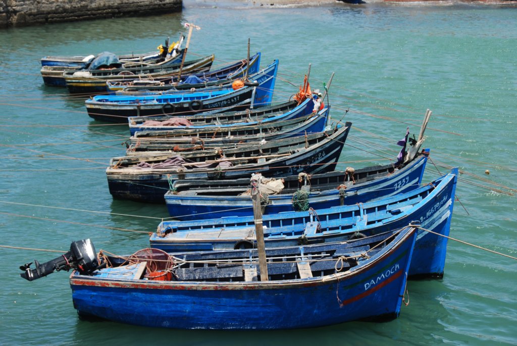 Barques de pêcheurs (2)