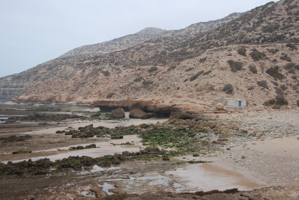 Bord de l'eau