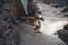 rencontre