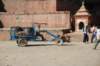 dsc_0561_small.jpg