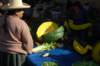 courgevenduenmorceau_small.jpg