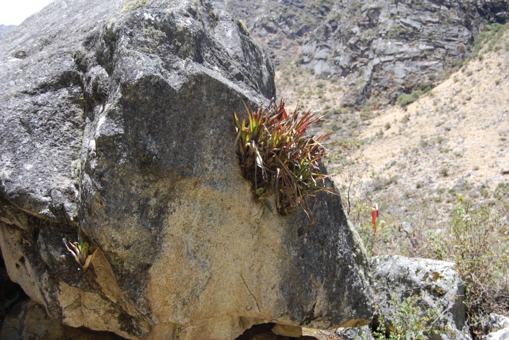 lanaturesaccochepartout.jpg