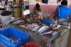 poissonerieonestauborddelamer_small.jpg
