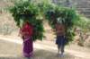 dsc_0377_small.jpg
