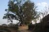 dsc_0390_small.jpg