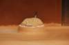 dsc_0428_small.jpg