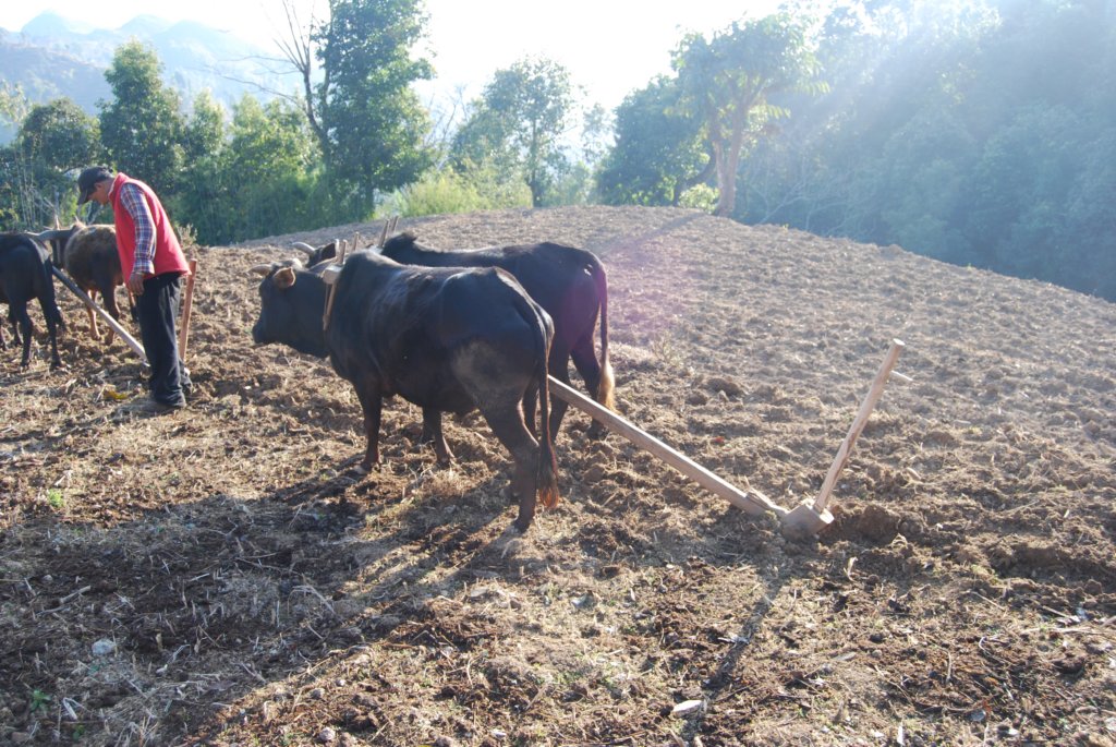 Une photo de l'album « Autour de Pokara » sur le site web de la famille Ratté.