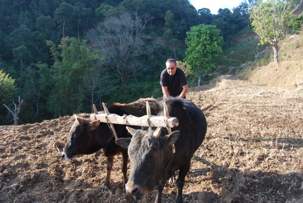 Une photo de l'album « Autour de Pokara » sur le site web de la famille Ratté.