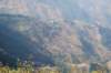 dsc_0496_small.jpg