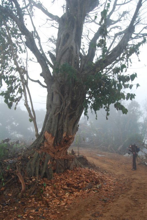 Une photo de l'album « Autour de Pokara » sur le site web de la famille Ratté.