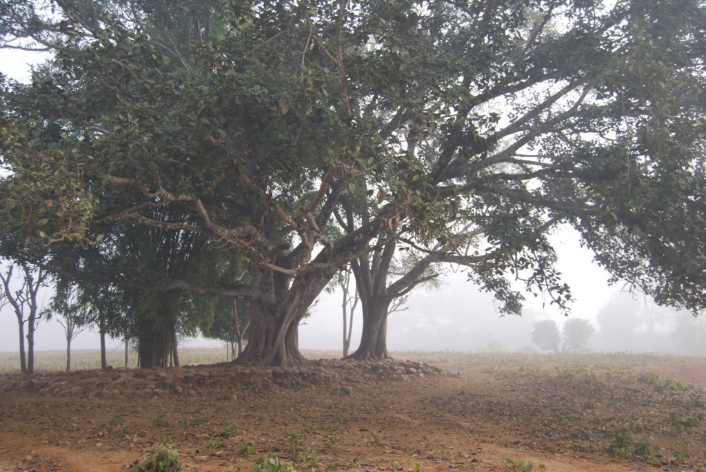 Une photo de l'album « Autour de Pokara » sur le site web de la famille Ratté.