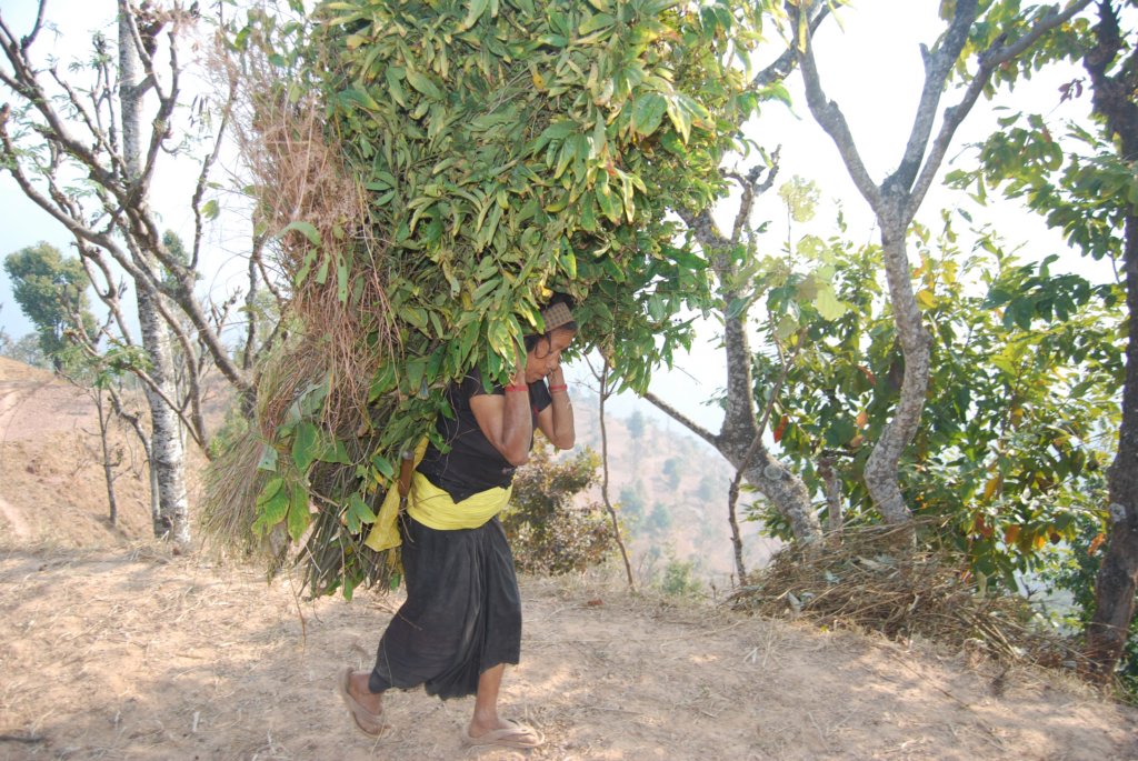 Une photo de l'album « Autour de Pokara » sur le site web de la famille Ratté.
