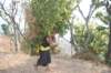 dsc_0674_small.jpg