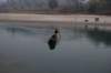 dsc_0731_small.jpg