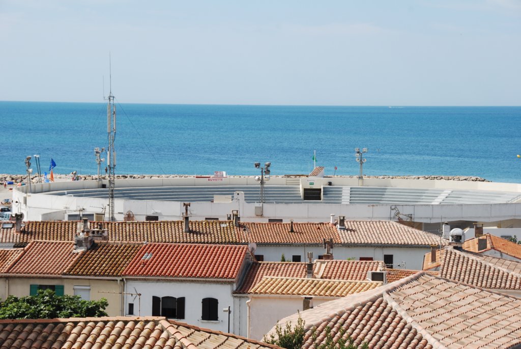 arneolonassiteraunspectacledetaureaupiscine.jpg