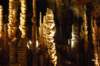 Au fond de la salle se trouve une forêt de grandes stalagmites.