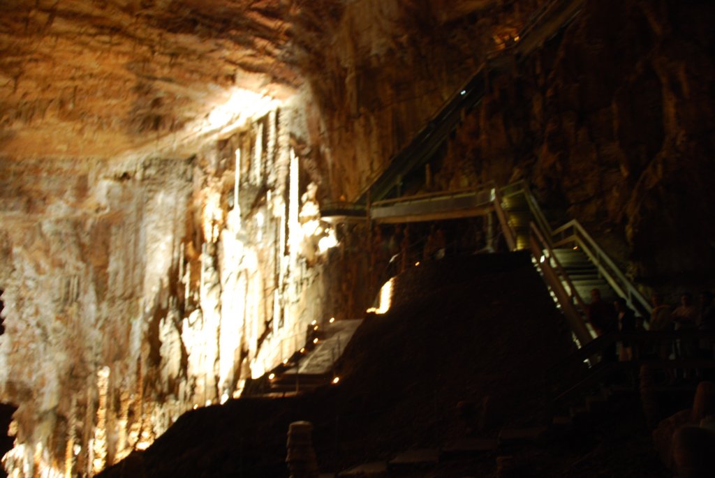 lasalleprincipaledontlesolsesitue100mdelasurfaceestlonguede110mlargede60mpourunehauteurmoyennede45m.jpg