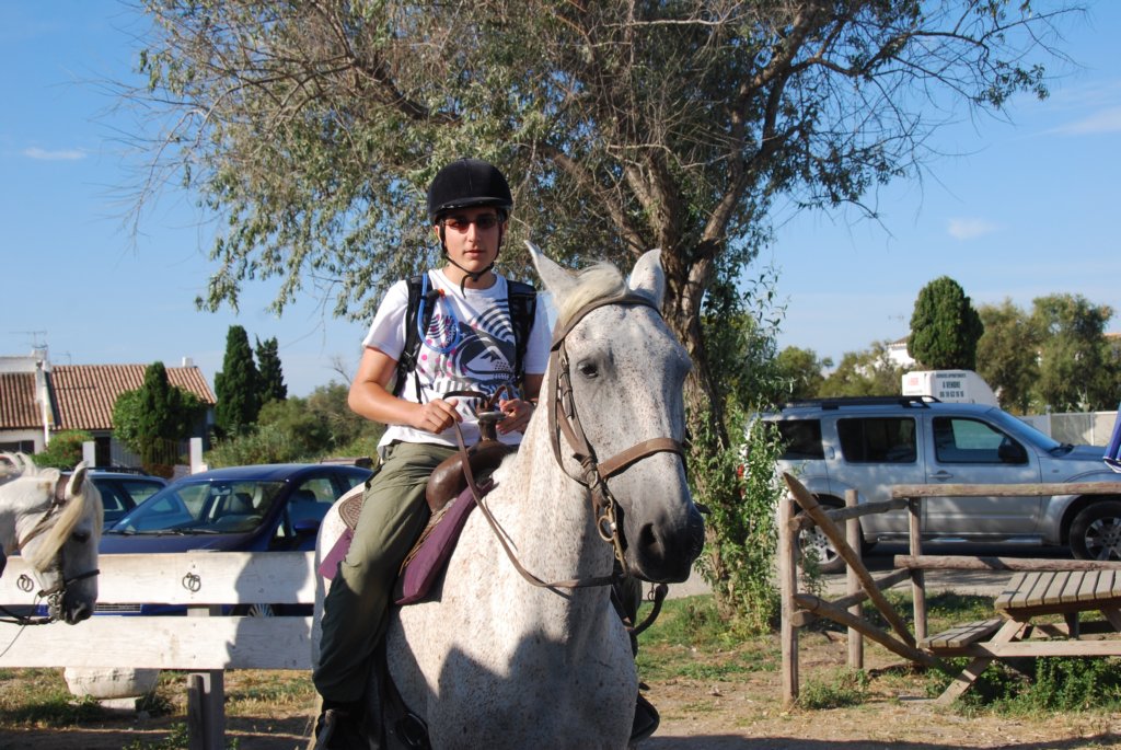 lecamargueestunetrsancienneracedepetitchevaldesellerustiquedecouleurgriseoriginairedelargiondecamargue.jpg