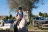 Le Camargue est une très ancienne race de petit cheval de selle rustique de couleur grise, originaire de la région de Camargue,