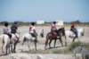 On se promène dans les Salines, et sur la plage