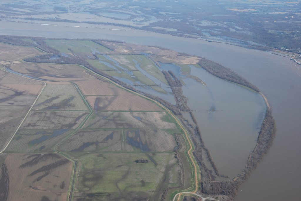 Plaine inondée sur le bord du Mississippi