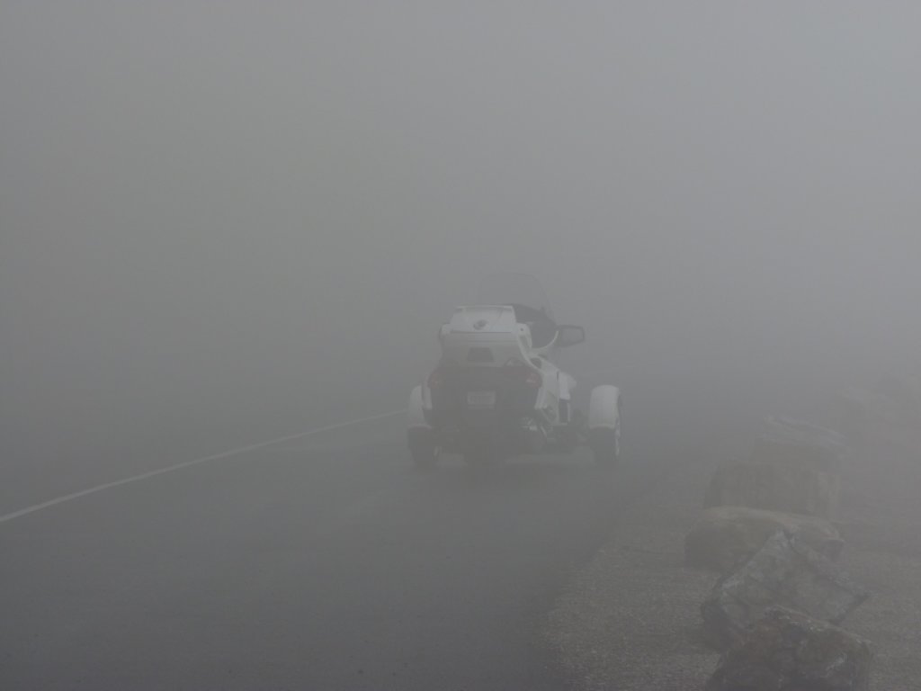 cestbeaucoupdebrume.jpg