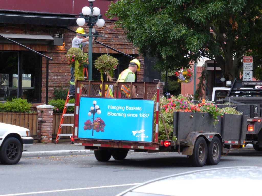 L'été est fini, on décroche les fleurs
