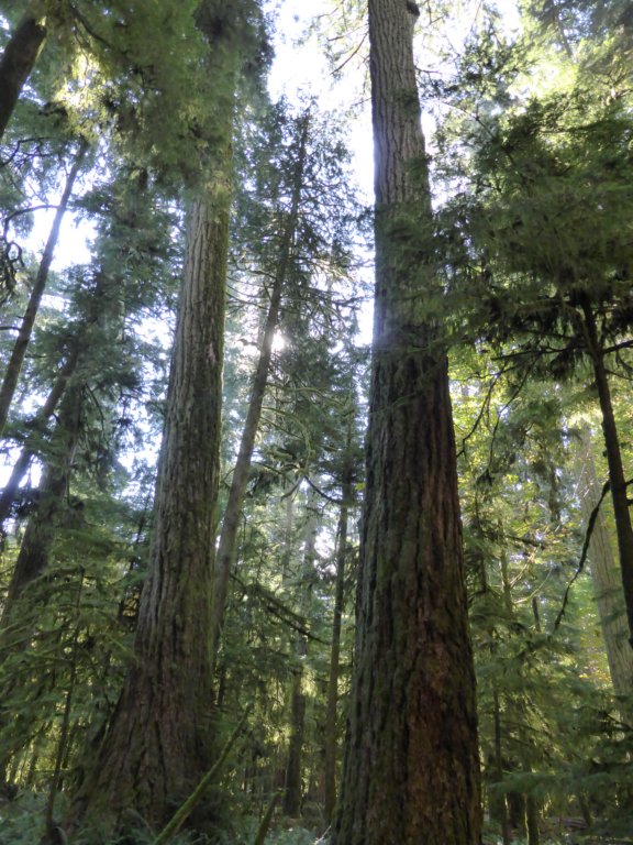 Une photo de l'album « Voyage Ouest US » sur le site web de la famille Ratté.