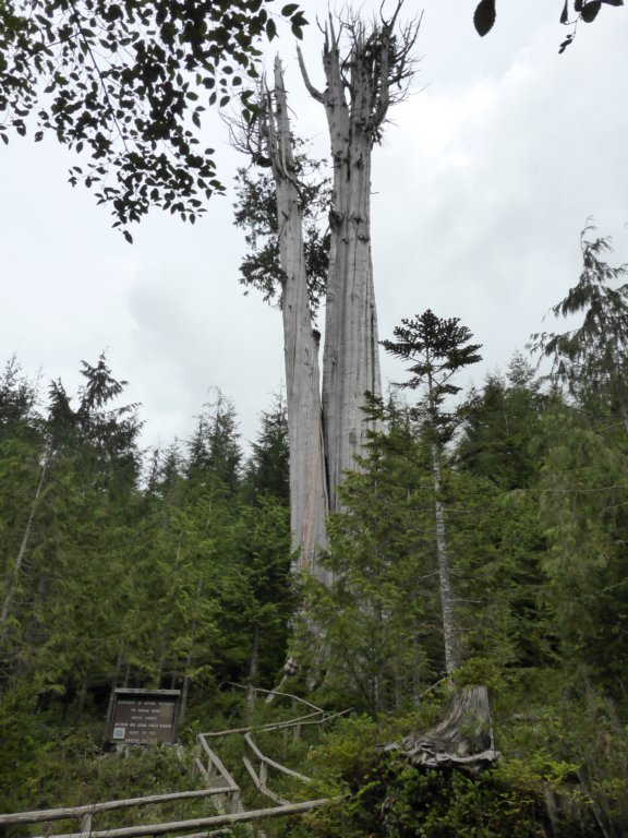 Une photo de l'album « Voyage Ouest US » sur le site web de la famille Ratté.