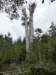 p1000196_small.jpg