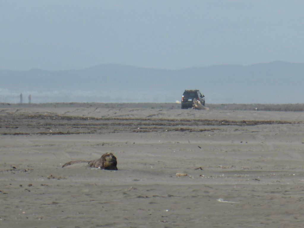 p1000226.jpg