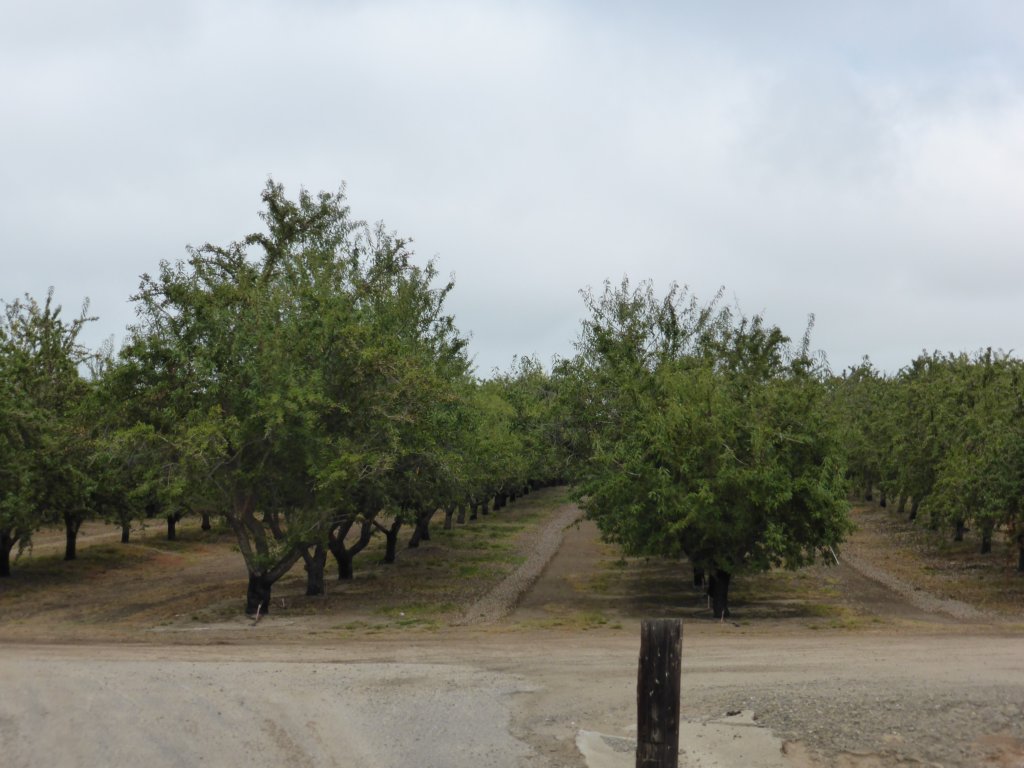 Une photo de l'album « Voyage Ouest US » sur le site web de la famille Ratté.