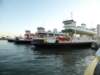 p1000935_small.jpg