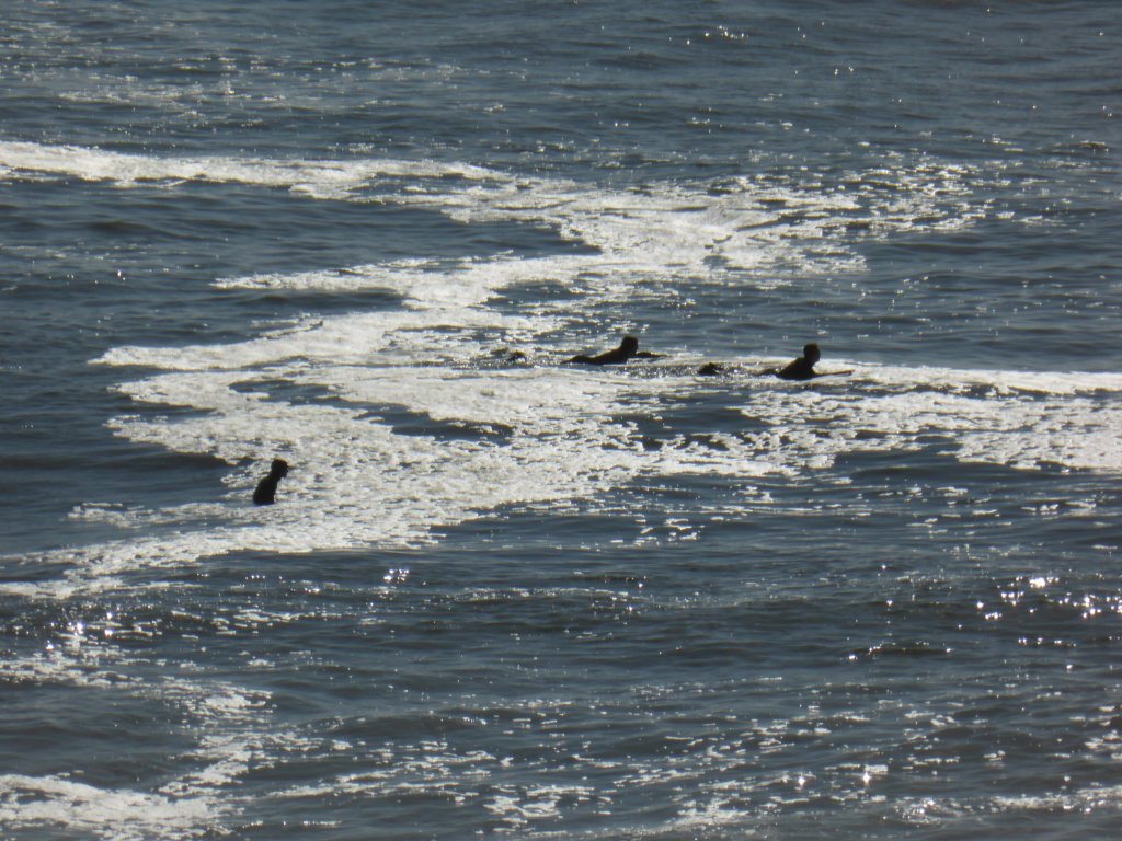 surfers.jpg