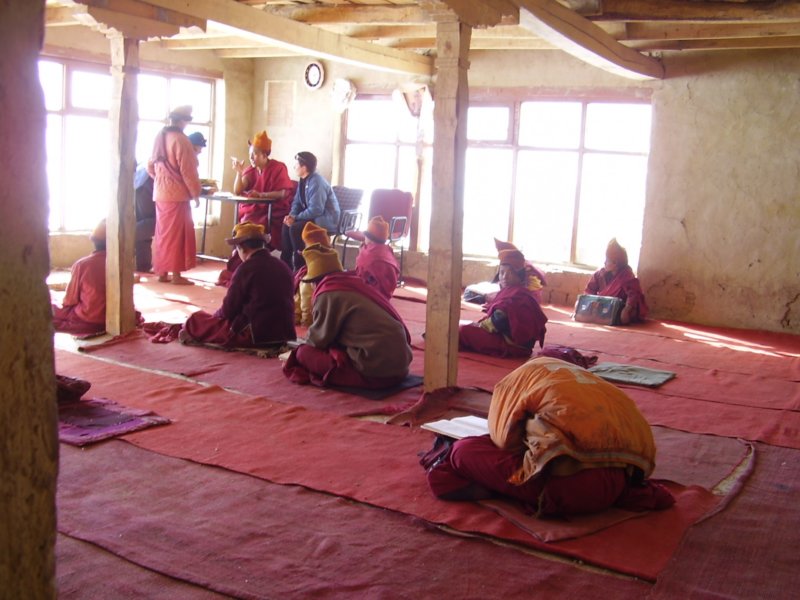 Salle de cours des petits lamas